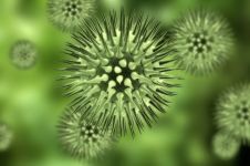 Lentivirus Production