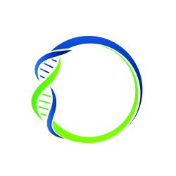 Lentiviral sgRNA Cloning Vector (U6, Neo)