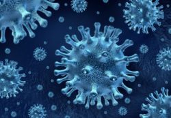 SV40 large T antigen lentivirus (CMV, no selection)