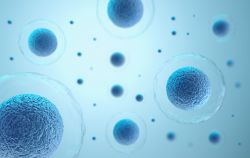 Human OTUD6A Knockout A549 cell line
