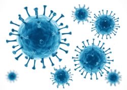 Retrovirus Production