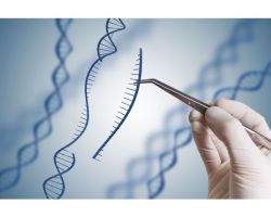 Lentiviral human WRNIP1 sgRNA gene knockout kit